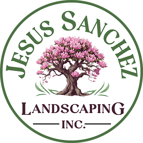 Jesus Sanchez